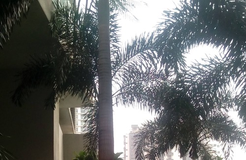 City Centre Apartment | Deluxe apartment city central 2 BR