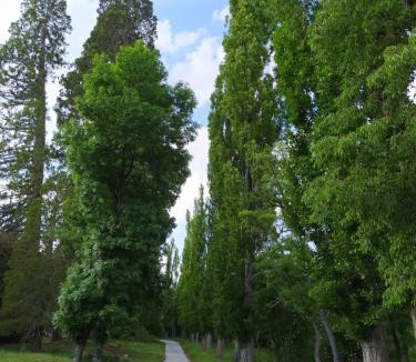 Huescar House | Finca LA LOSA - Secuoyas