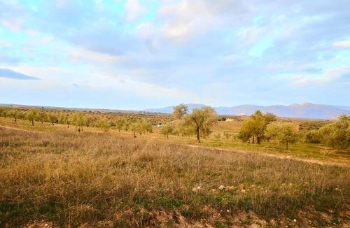Salar Hotel | Finca las Calmas boutique hotel & retreats