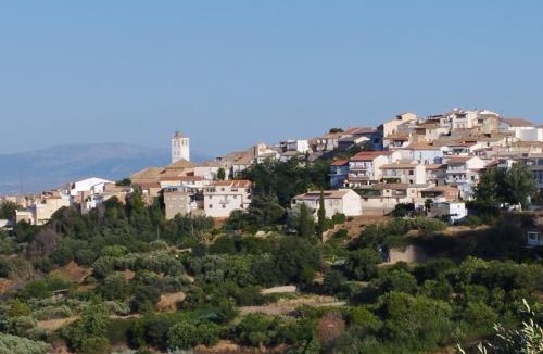 Cogollos de la Vega House | Hostal Nazarí