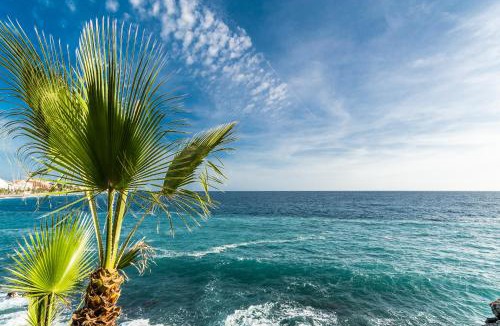 Almunecar House | Hostal Tropical