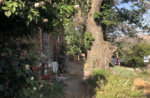 Pitres Hostel | Hostel ∙ 8 guests