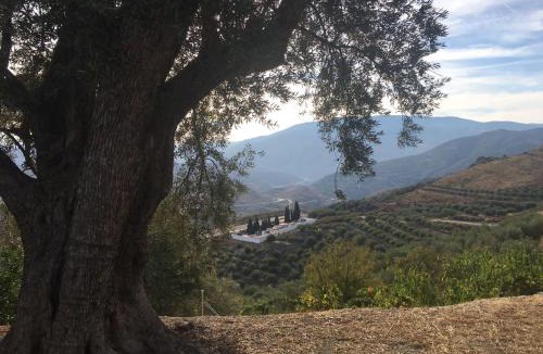Pinos del Valle Apartment | Jardin Andaluz veleta
