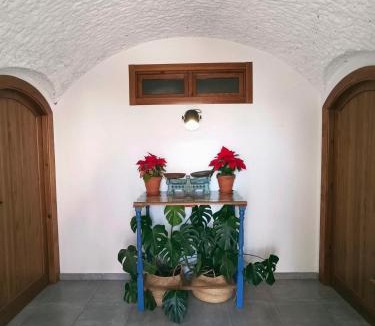 Guadix Apartment | La Madriguera Eco Caves