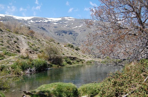 Capileira Apartment | Luxury apartment with stunning vistas!!