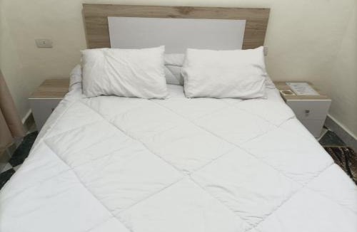 Giza Bed & Breakfast | sphinx pyramids view