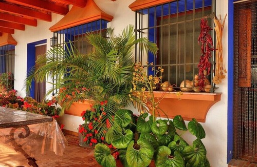La Herradura House | Stylish Andalusian country house with pool in olive grove facing the sea