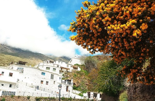 Trevelez House | The highest village house in Las Alpujarras! Incredible mountain views!