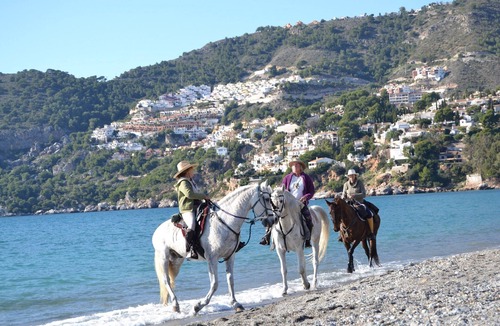 La Herradura House | This website is very bad