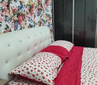 Seksyen 14 Apartment | Vista Royal Homestay