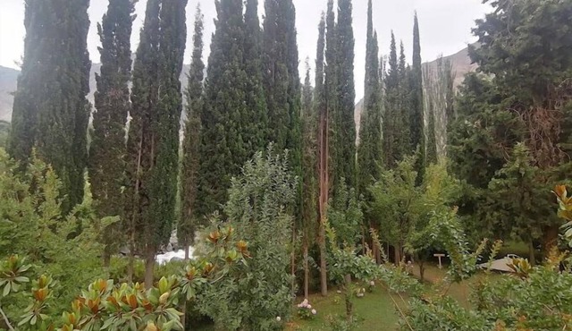 Springfield Resort Gilgit