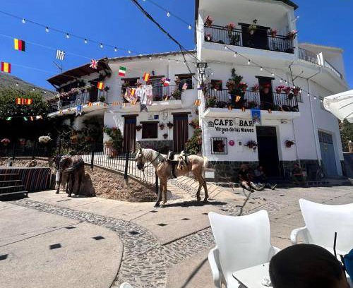 Trevelez Apartment | 90 m² Apartment ∙ 3 bedrooms ∙ 5 guests