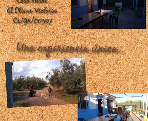 Cuevas del Campo House | Casa Rural El Olivar Victoria
