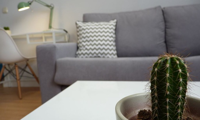 Camino de Ronda Apartment | LOVELY APARTMENT IN GRANADA. PRIVATE PARKING