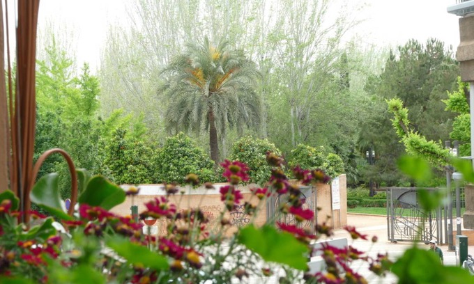 Figares Resort | Private room ∙ 1 guest