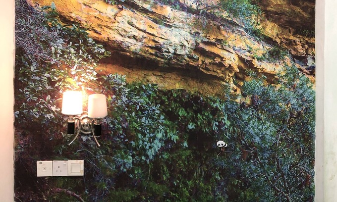 Chinatown Hotel | Rain Forest Hotel