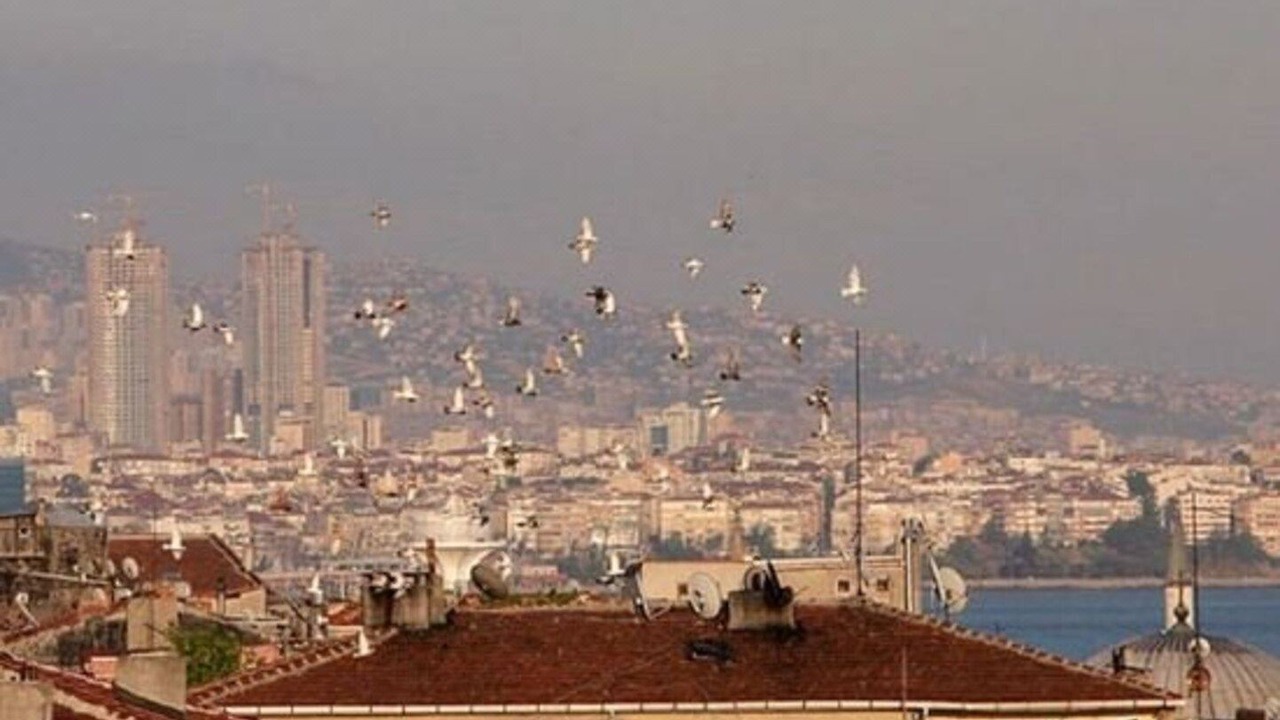 Photo of Others in Beyazit