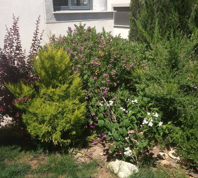 Photo of Buildings in Dilar