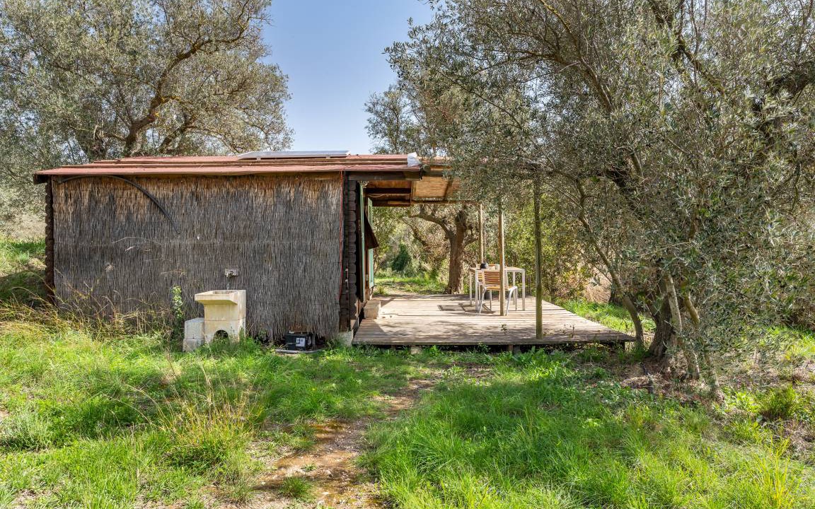 Photo of Others in Lanjaron