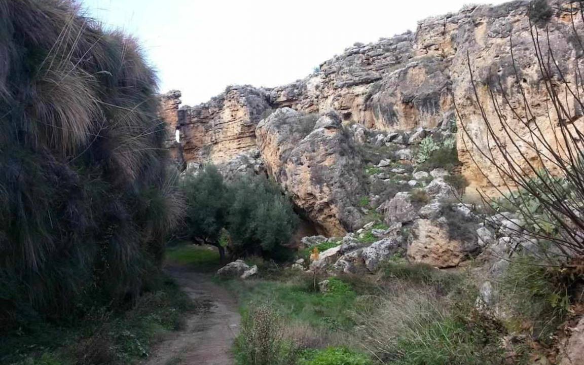 Photo of Others in Purullena