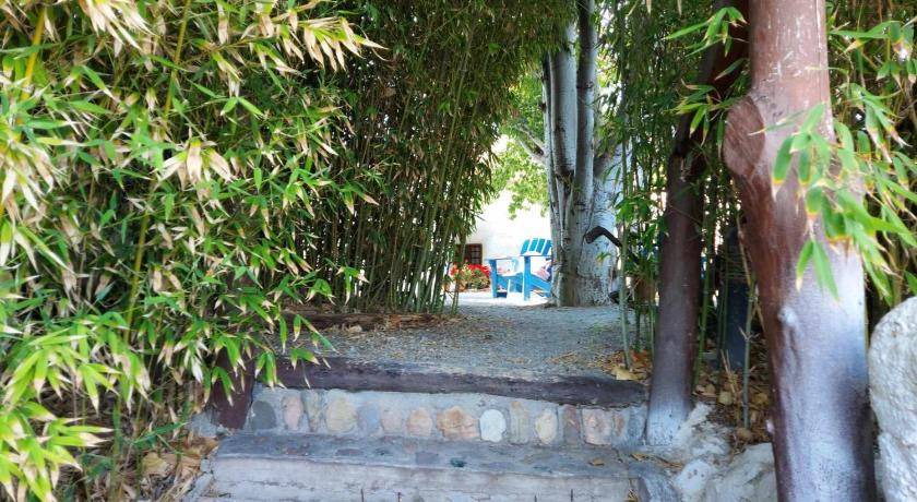 Photo of Others in Baza