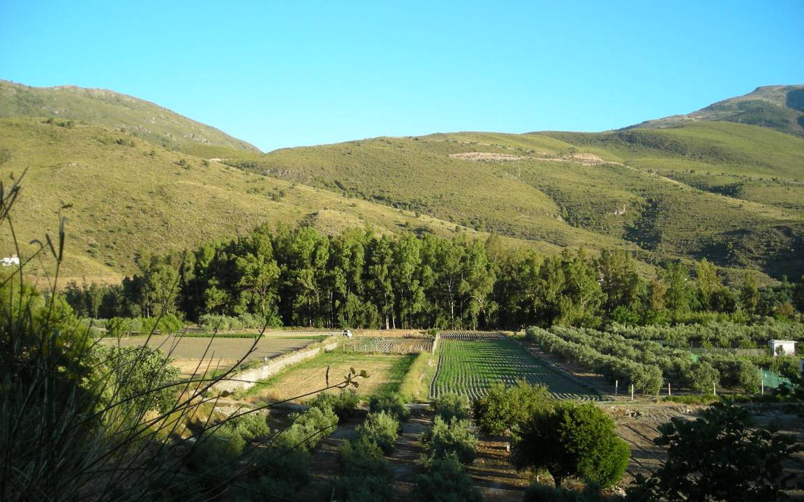 Photo of Others in Agustinos