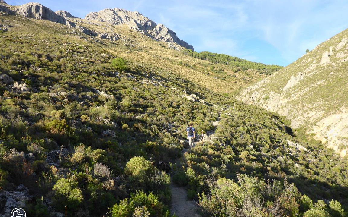 Photo of Others in Cogollos de la Vega