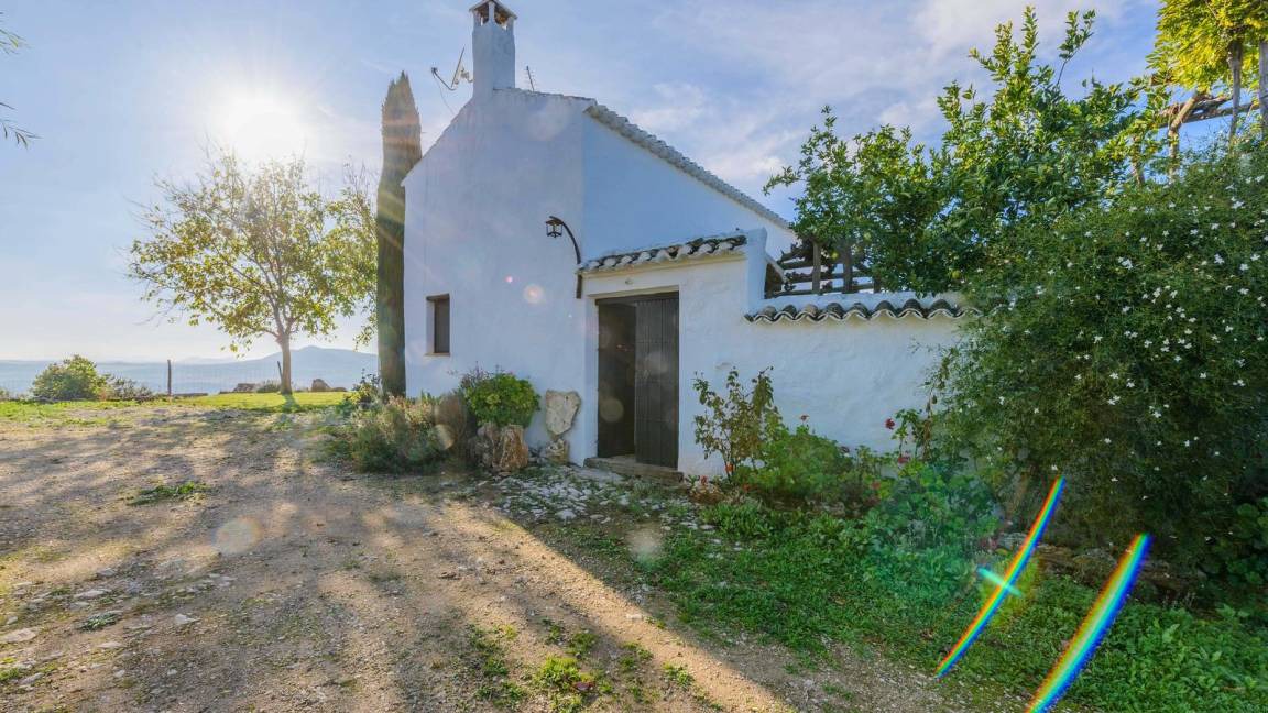 Photo of Others in Algarinejo