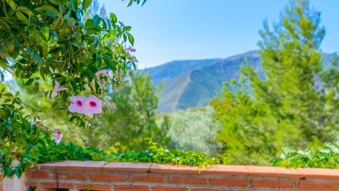 Photo of Others in Orgiva