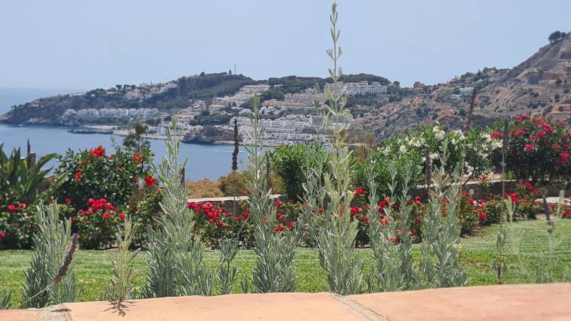 Photo of Others in Almunecar