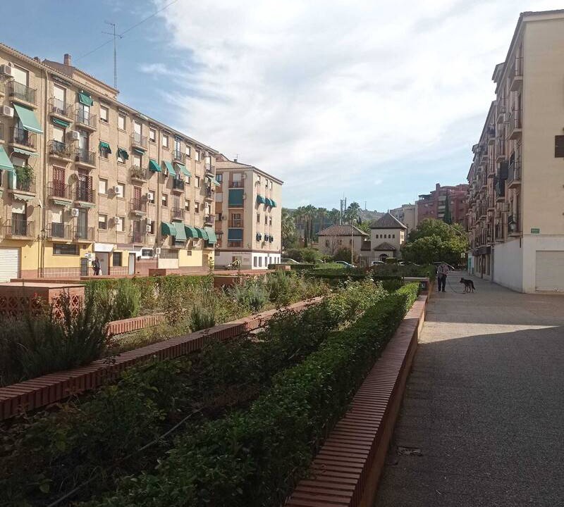 Photo of Buildings in Figares