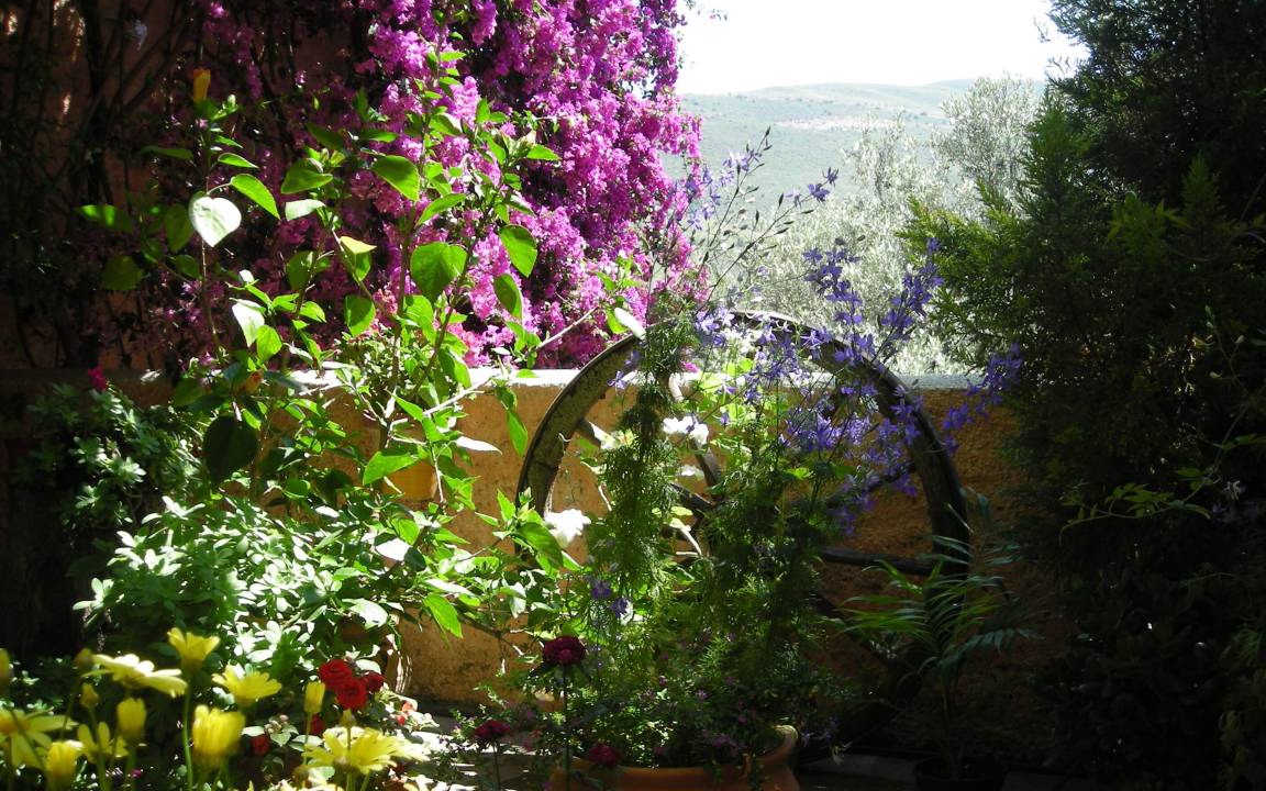 Photo of Others in Agustinos
