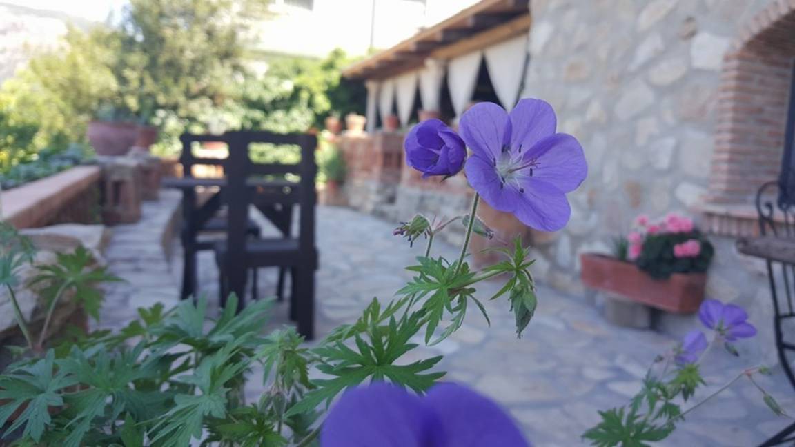 Photo of Others in La Zubia