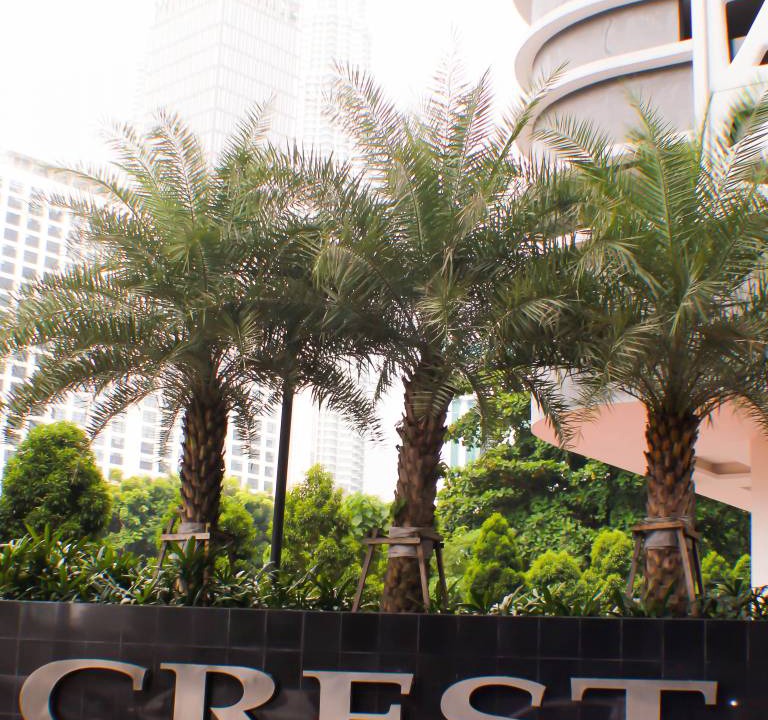 Photo of Others in Kuala Lumpur City Centre