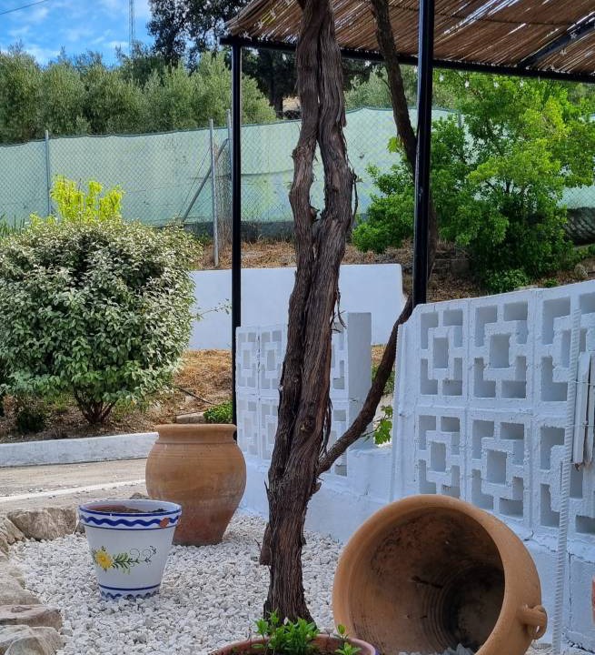 Photo of Others in Algarinejo