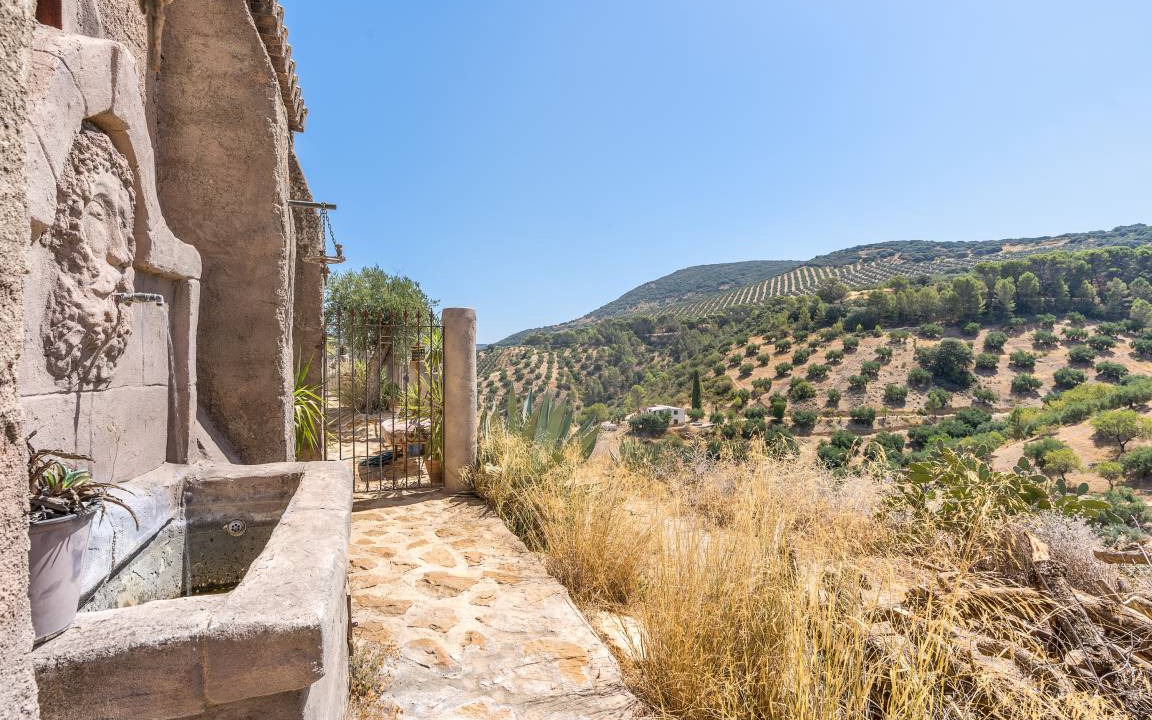 Photo of Others in Algarinejo