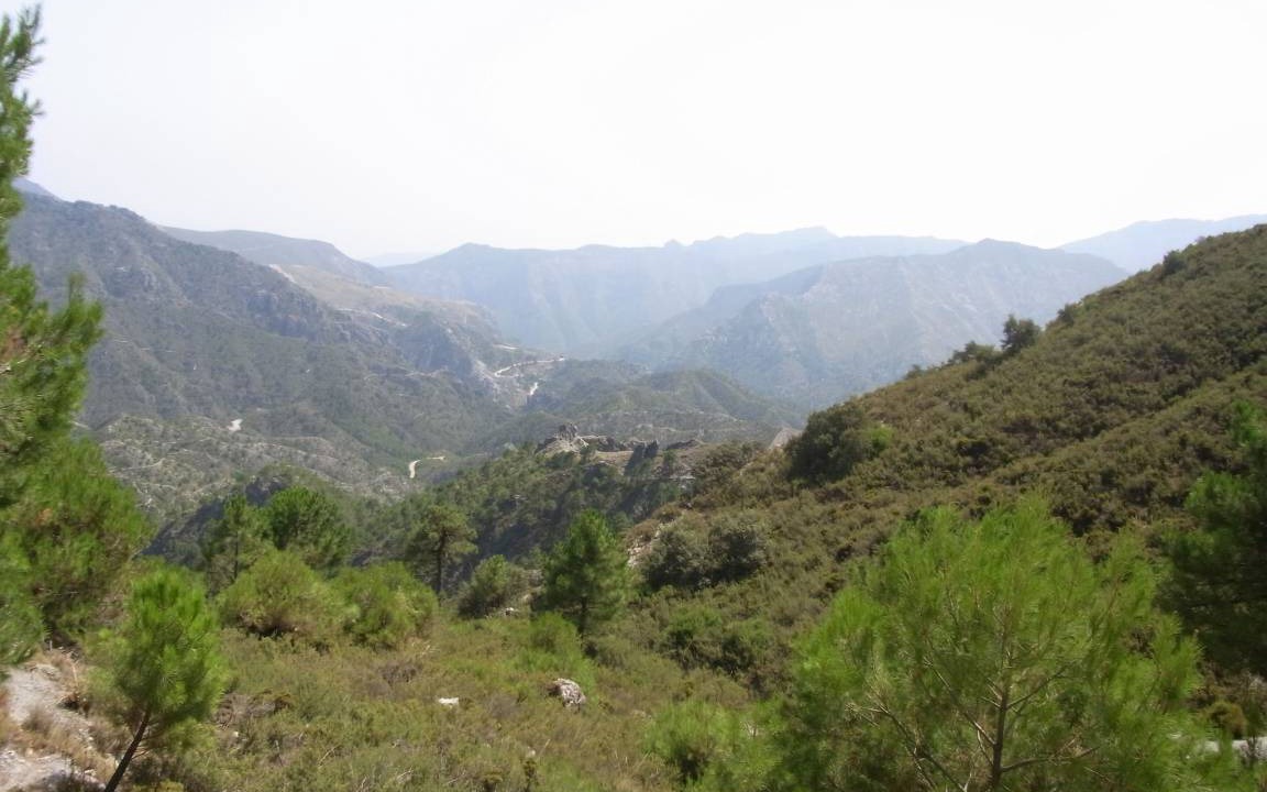 Photo of Others in Motril