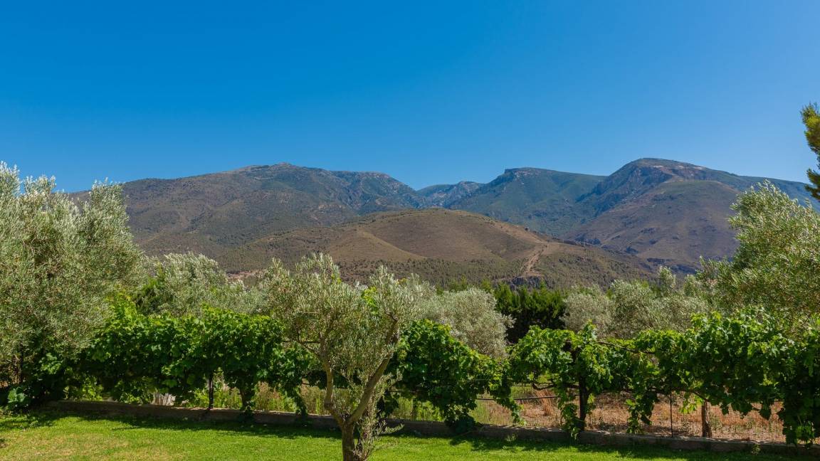 Photo of Outdoor in Orgiva