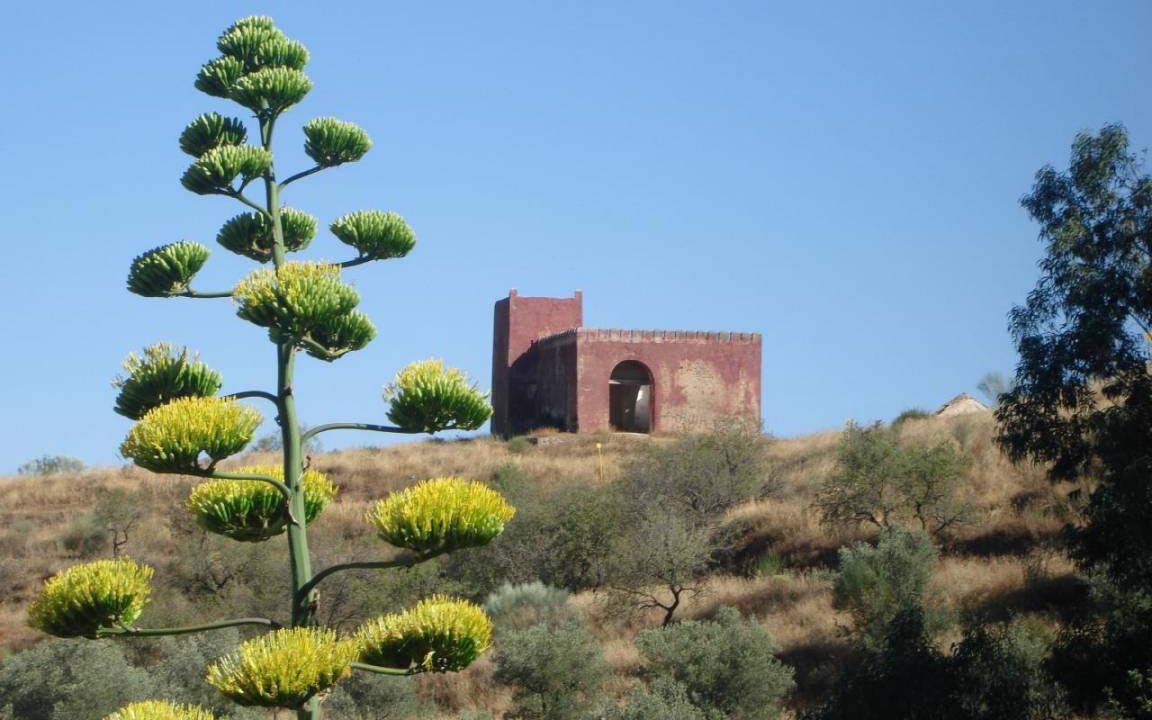Photo of Others in Agustinos