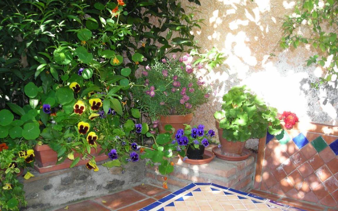 Photo of Patio Balcony in Agustinos