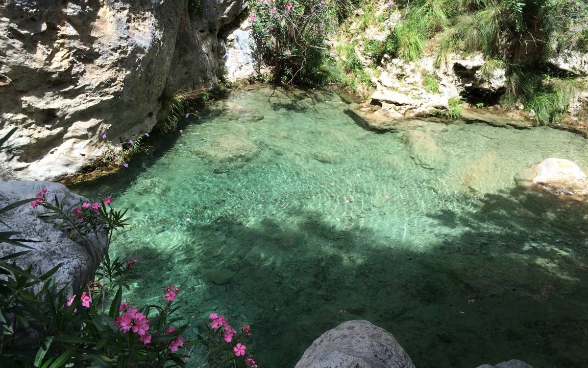 Photo of Others in Agustinos
