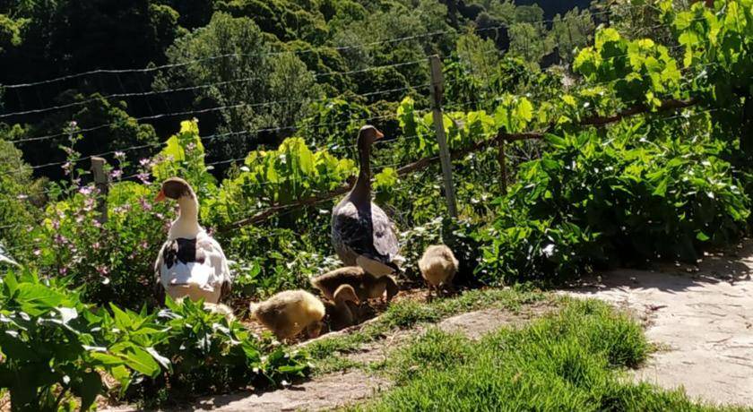 Photo of Others in Guejar Sierra