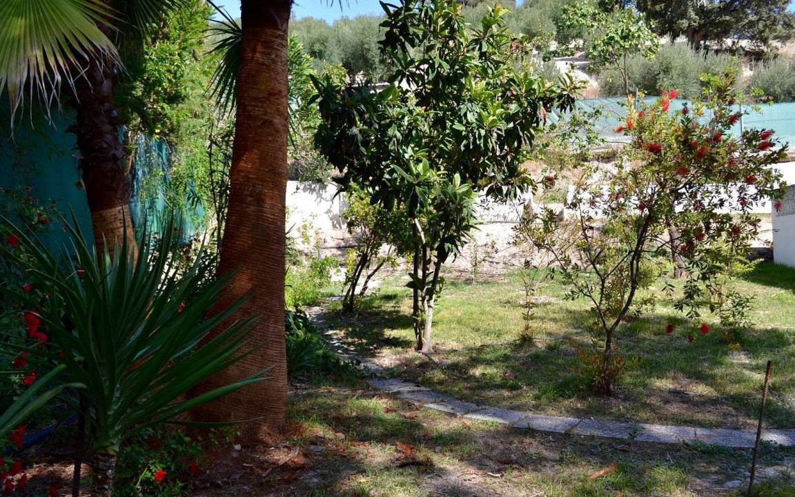 Photo of Others in Algarinejo