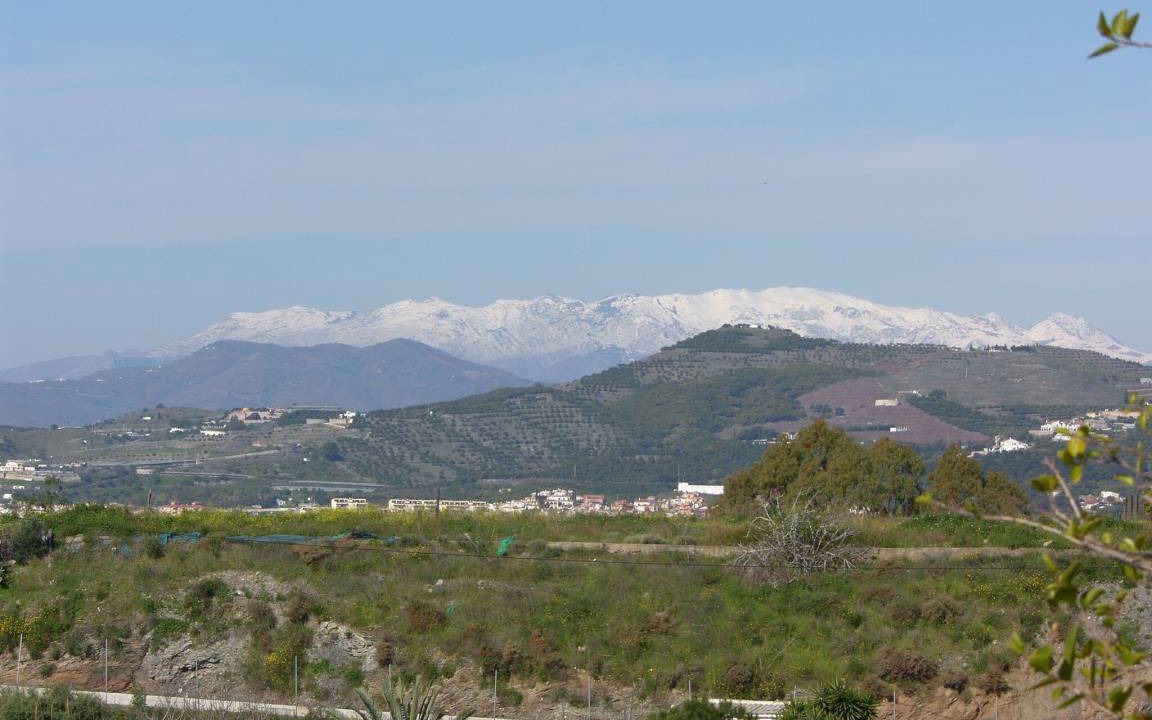 Photo of Others in Motril