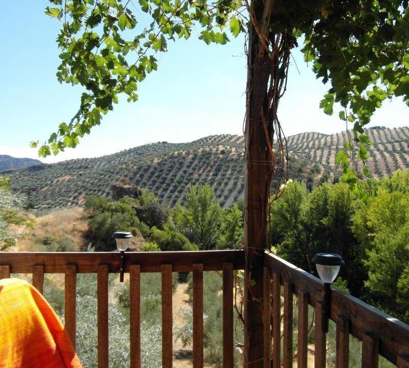 Photo of Others in Algarinejo