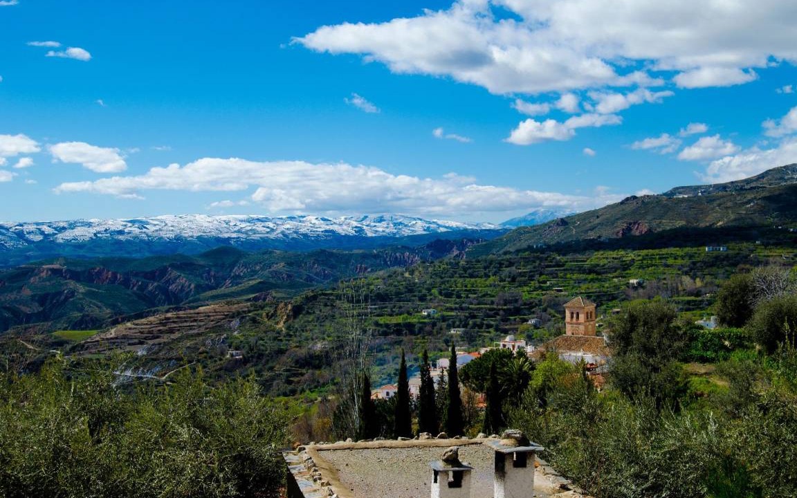 Photo of Others in Nechite