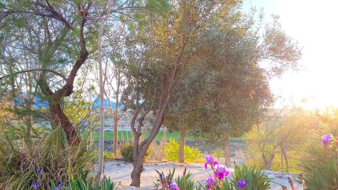 Photo of Outdoor in Baza