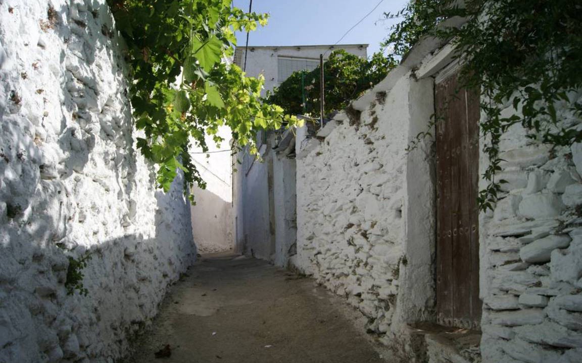 Photo of Others in Cadiar