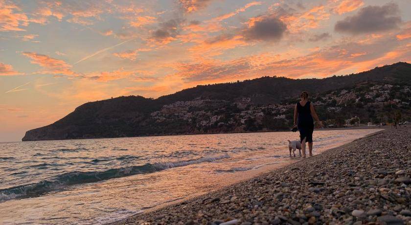Photo of Others in La Herradura