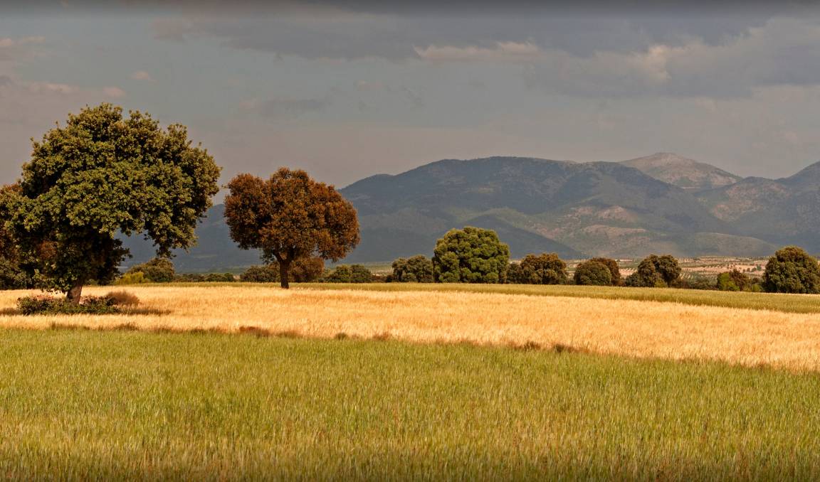 Photo of Others in Gorafe